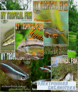 My-Tropical-Fish 2008  - 1-2 2009