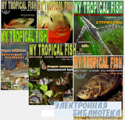 My-Tropical-Fish 1-6 2006