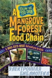 A Mangrove Forest Food Chain: A Who-Eats-What Adventure in Asia