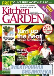 Kitchen Garden - December 2009