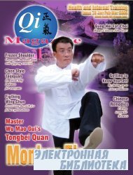 Qi Magazine 78  2006