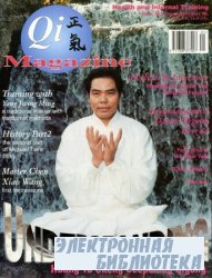 Qi Magazine 35 1998