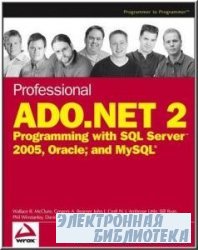 Professional ADO.NET 2.0