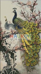     HAUKUN A092 Peacocks