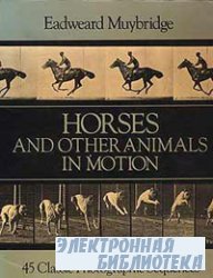 Horses and Other Animals In Motion. 45 Classic Photographic Sequences