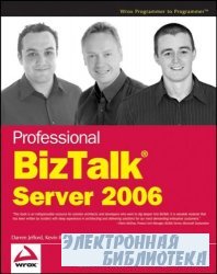 Professional BizTalk Server 2006