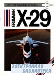 Grumman X-29 (Aeroguide Special)