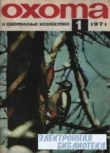     1 1971