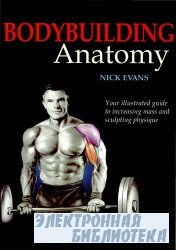 BodyBuilding Anatomy