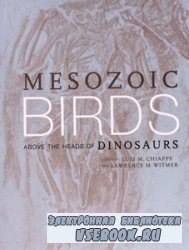 Mesozoic Birds: Above the Heads of Dinosaurs