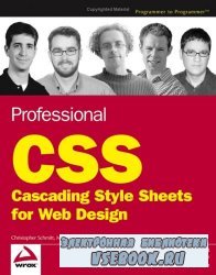 Professional CSS Cascading Style Sheets for Web Design