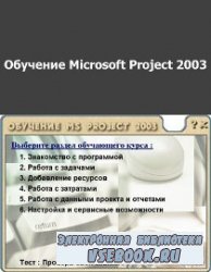  Microsoft Project 2003.
