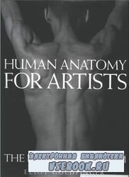 Human Anatomy For Artists. The elements of form