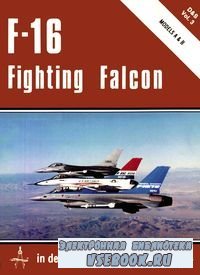 F-16 Fighting Falcon (Models A&B) (D&S 3)