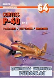 Curtiss P-40 cz. 1 Tomahawk / Kittyhawk / Warhawk (Monografie Lotnicze 64)