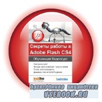    Adobe Flash CS4 (2010)