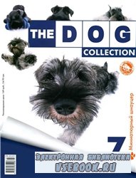The DOG collection  7 2010