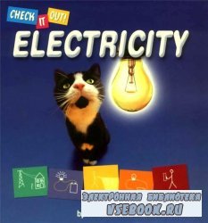 Electricity (Check It Out!) (Library Binding)