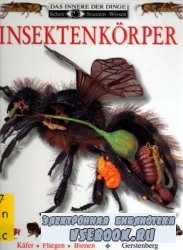 Insektenkorper