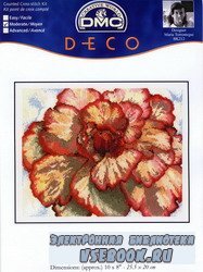     "Begonia" (DMC: BK 212)