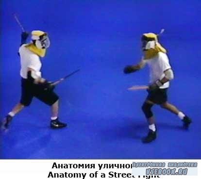    / Anatomy of a Street Fight (2009) VHSRip