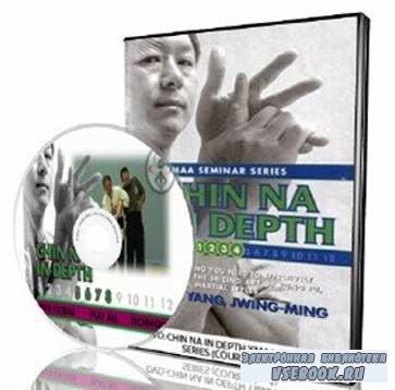   Chin Na In Depth - DVDRip