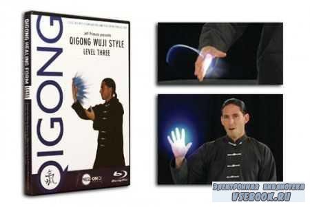  /Qigong Healing Form Box Set (2009/DVDRip)