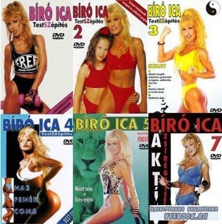 Biro Ica -  .     (2005/DVDRip)