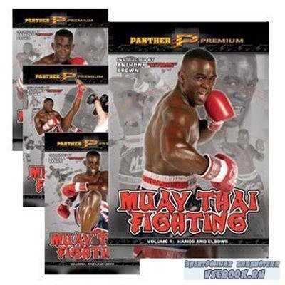     / Anthony Brown Muay Thai Fighting Training Series  (2010/DVDRip)