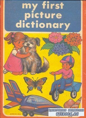 My first picture dictionary/    