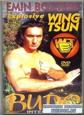   / Exploisive Wing Tsun (2009/DVDRip)
