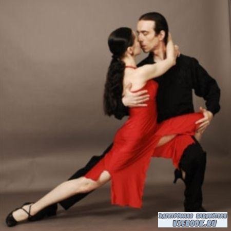   / Argentine Tango Bronze Syllabus (2008/DVDRip)