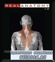 Real Anatomy Software DVD v1.0 Win & Mac OSX-ISO