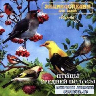 Голоса птиц — Птицы средней полосы России (мр3/182 мб)