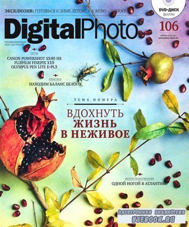 Digital Photo 2 ( 2012)