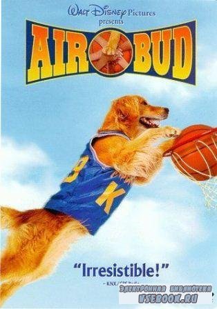   / Air Bud (1997/DVDRip/1.36 )