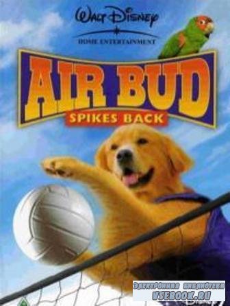   5:   /Air Bud: Spikes Back  (2003/ DVDRip/1 ...