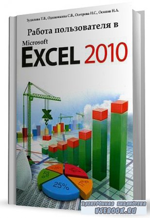    Microsoft Excel 2010.  