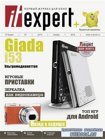 IT Expert 1 ( 2013)