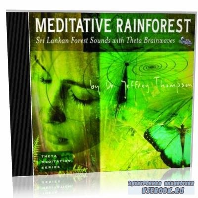 J. Thompson. Meditative Rainforest ( )