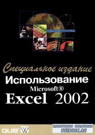  Microsoft Excel 2002.  
