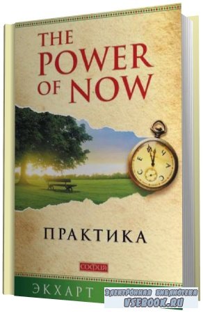  .   The Power of Now ()